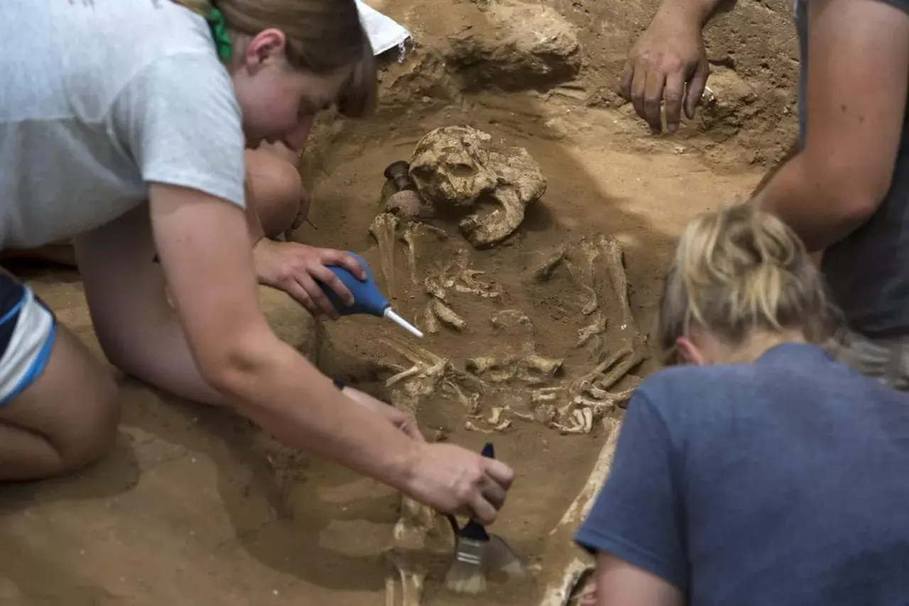 121028918-eb62bf6b-a424-4681-96f8-7ad876605c01