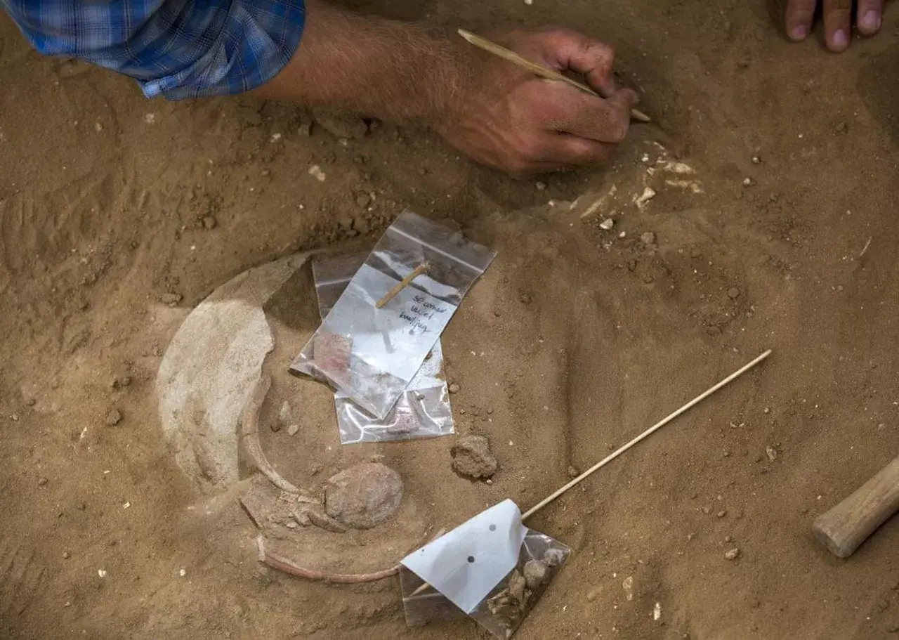 121029514-35357de3-37c2-4894-a65a-d0fe9004f8e0