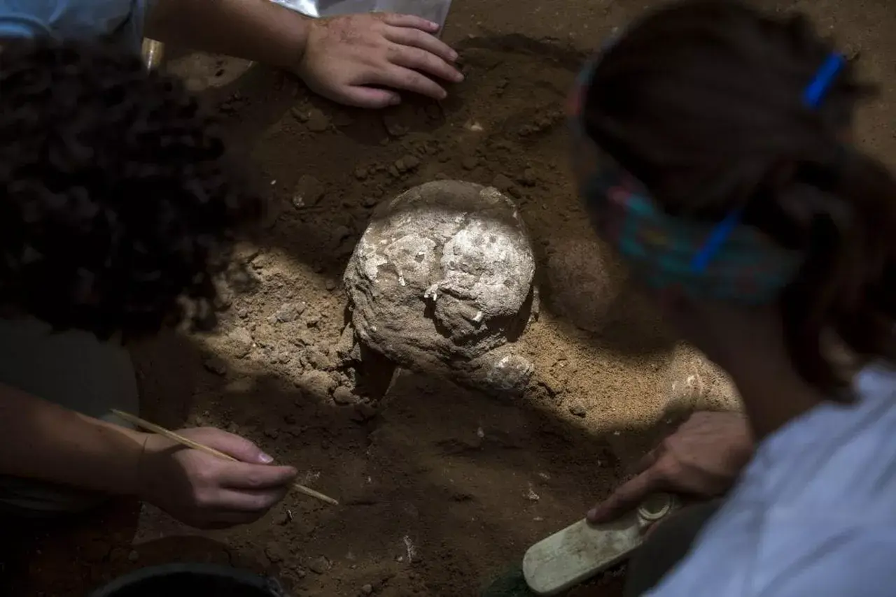 121030224-ac86a795-0f37-4e82-94bf-c1614d81f59b